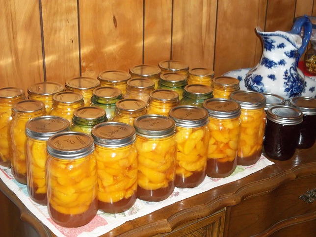 Canned Peaches