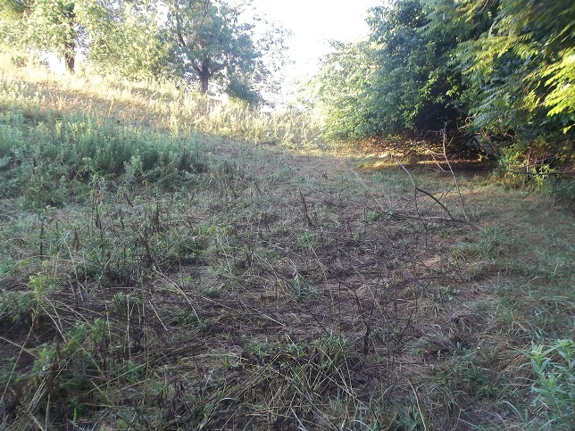 Disemmemberment Hill