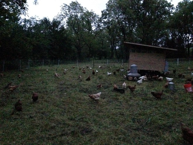 20 minutes before sunrise...