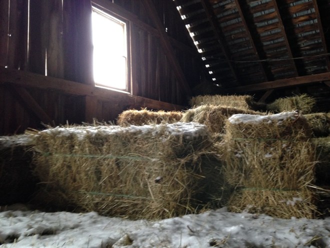Barn